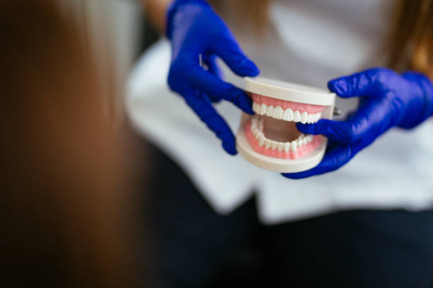 Best Cosmetic Dentistry  in Westke, LA
